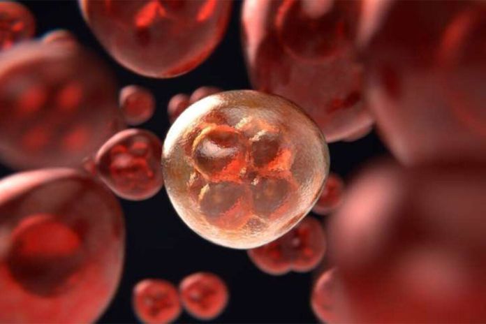 cancro prostata segnali sintomi cancro prostata segnali sintomi