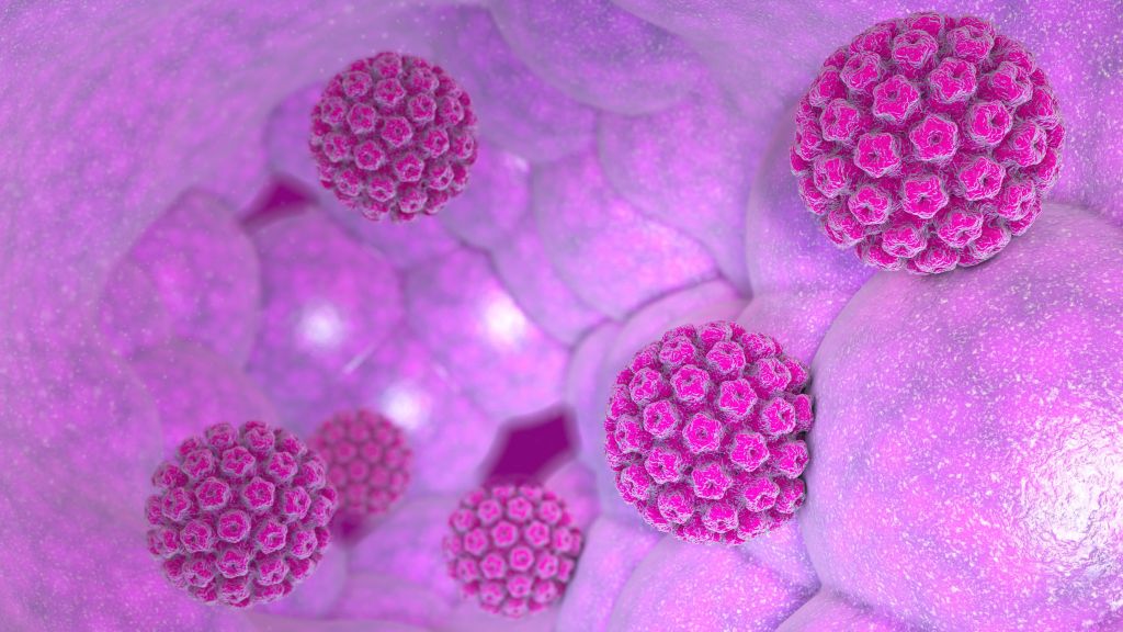 Papilloma virus: cos’è, cause e sintomi. Come prevenire il contagio?