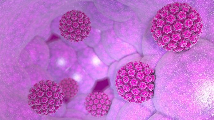 come-si-trasmette-il-papilloma-virus