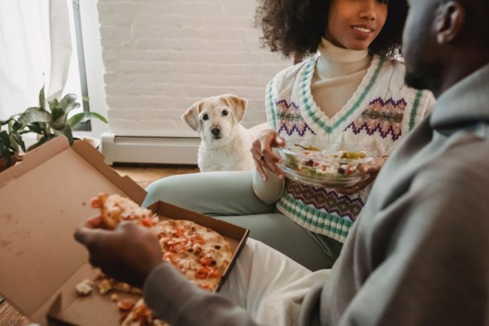Da Pexels_cani e cibo_1