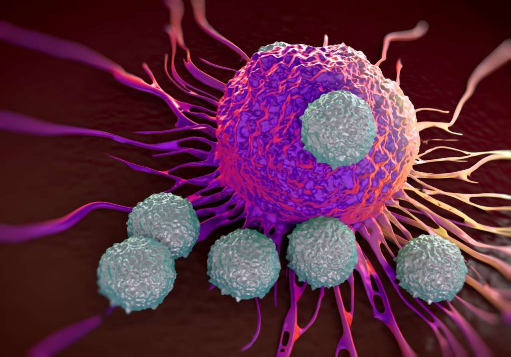 Covid-19, il ruolo dei linfociti T nell’infezione