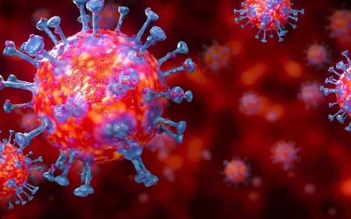 variante xe coronavirus