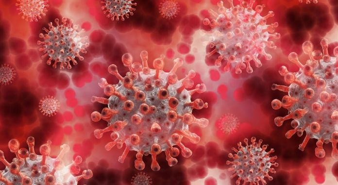 variante xe coronavirus