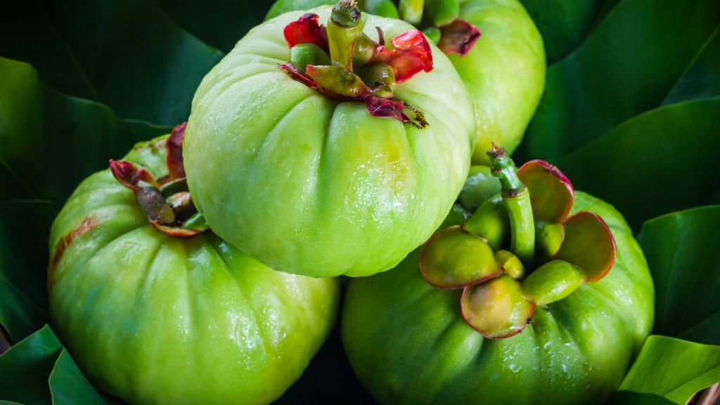 Garcinia cambogia, cos’è e quali sono i benefici per la salute