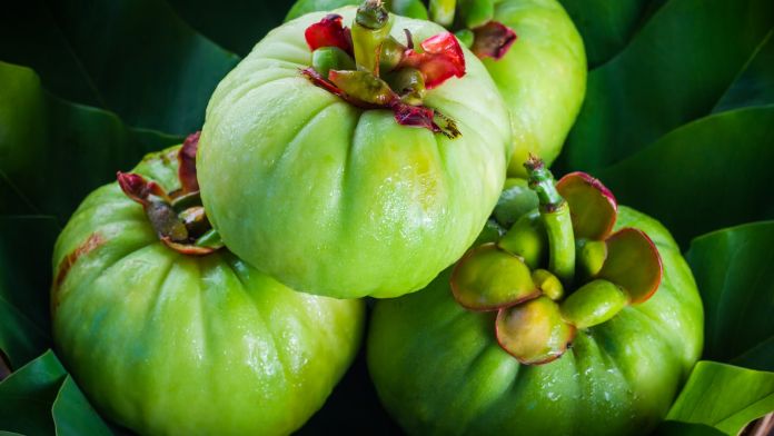 garcinia cambogia