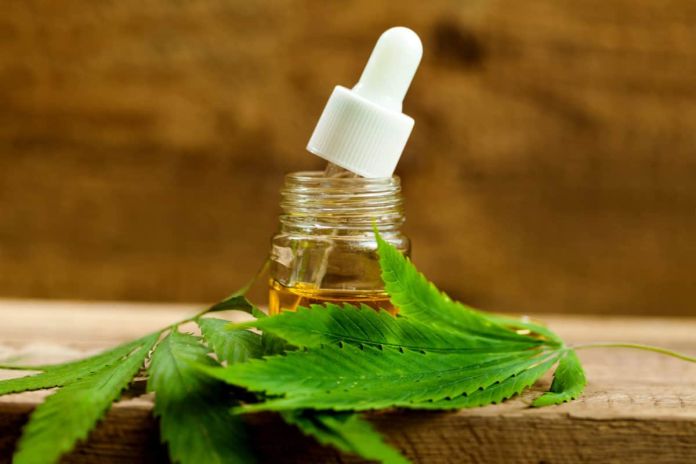 olio canapa