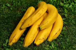 Cosa succede al nostro corpo quando mangiamo le banane?