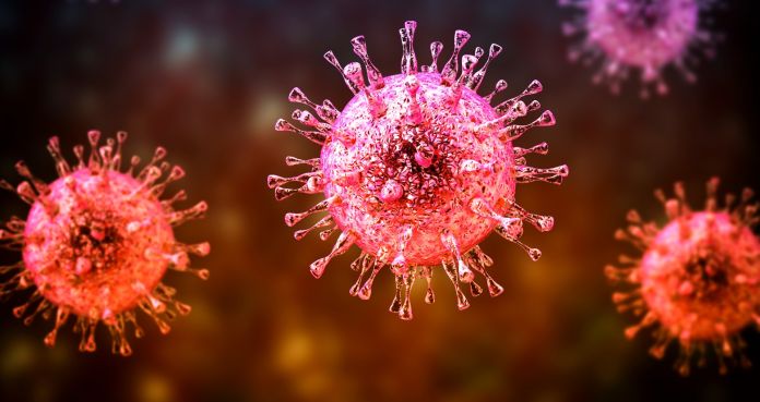 citomegalovirus