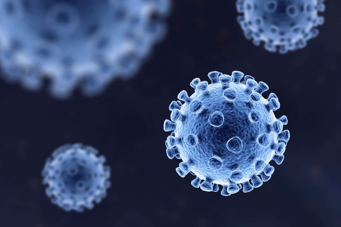 omicron covid-19 coronavirus