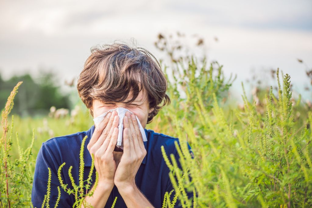 Allergie in estate