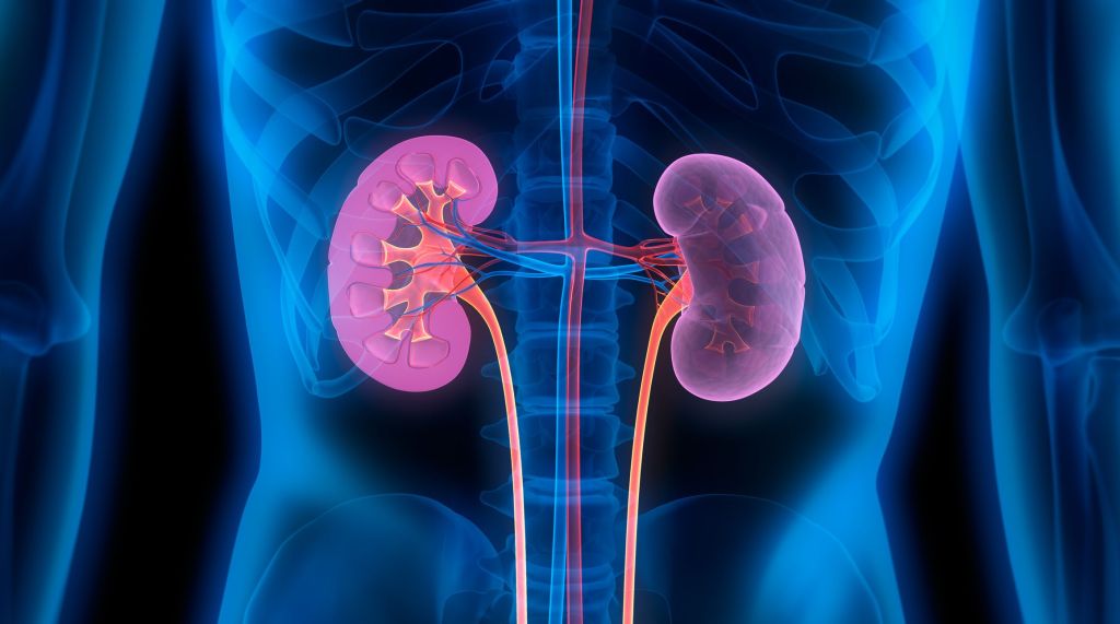 Carcinoma renale, sintomi e trattamento.