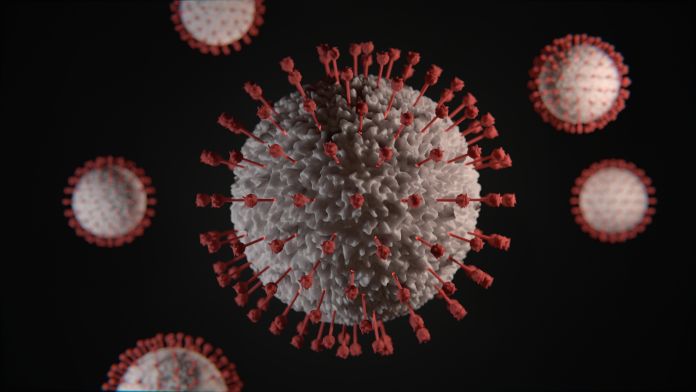 omicron covid-19 coronavirus