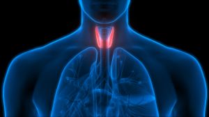 Problemi alla tiroide, ipertiroidismo e ipotiroidismo, cause e sintomi