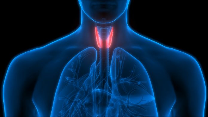 Problemi alla tiroide, ipertiroidismo e ipotiroidismo, cause e sintomi