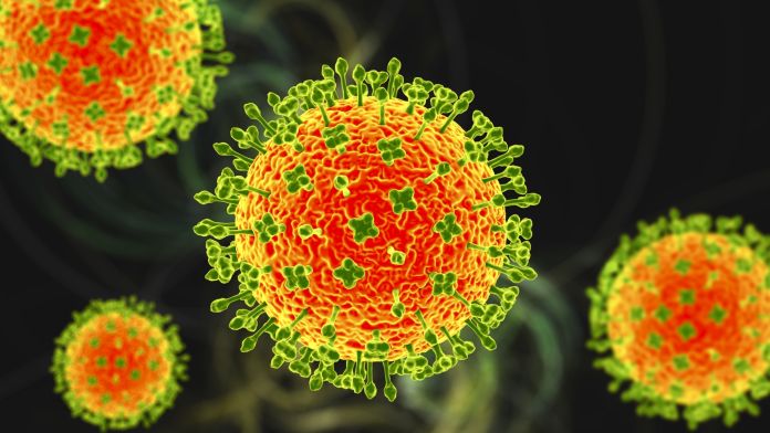 Langya henipavirus