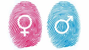 Le identità di genere sono 4, le conosci tutte?