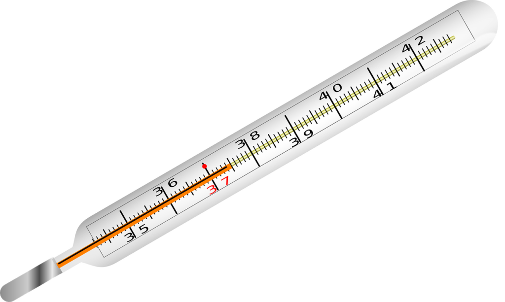 influenza del cammello