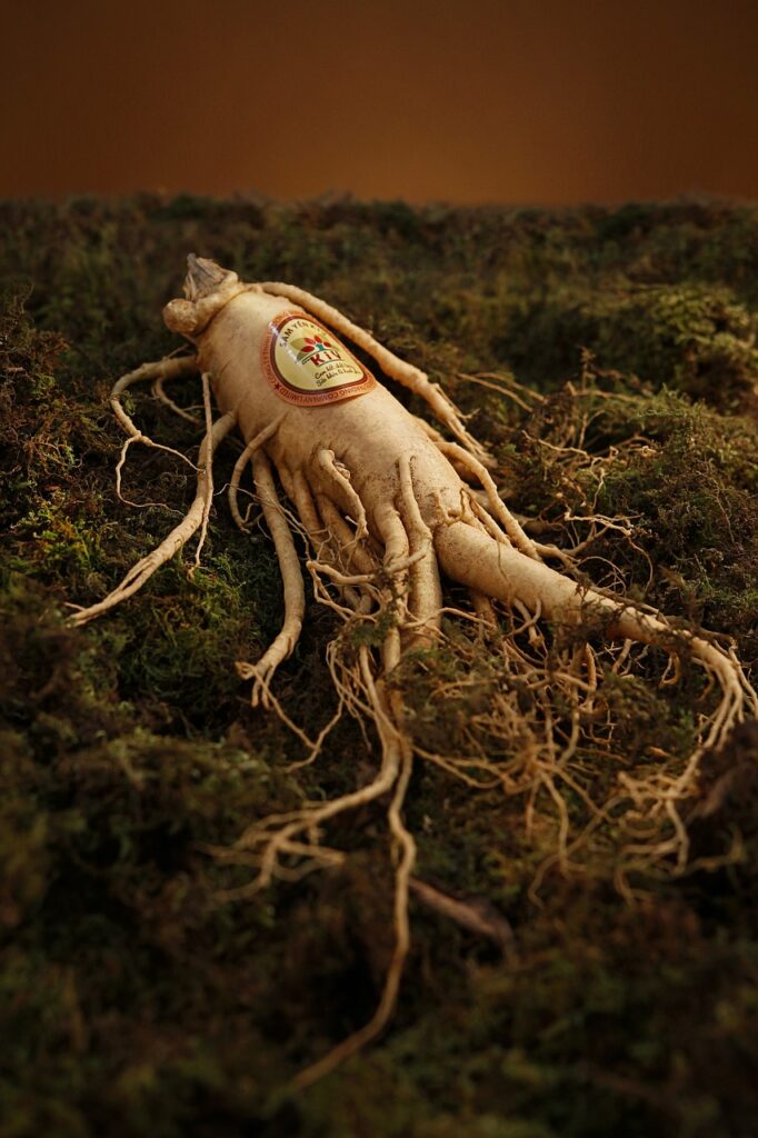 ginseng