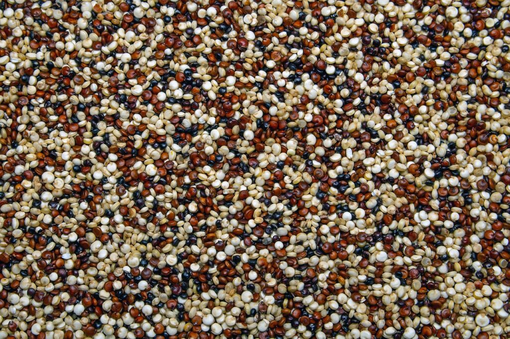 quinoa