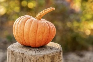 Zucca: quali vitamine contiene?