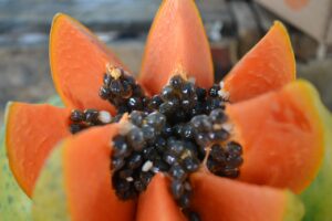 Papaya fermentata: tutto quello che devi sapere