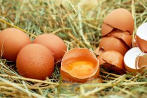 Puoi mangiare i gusci delle uova? Fanno bene o male?