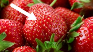 Fragole: pensi siano un frutto? Ecco la risposta che ti stupirà