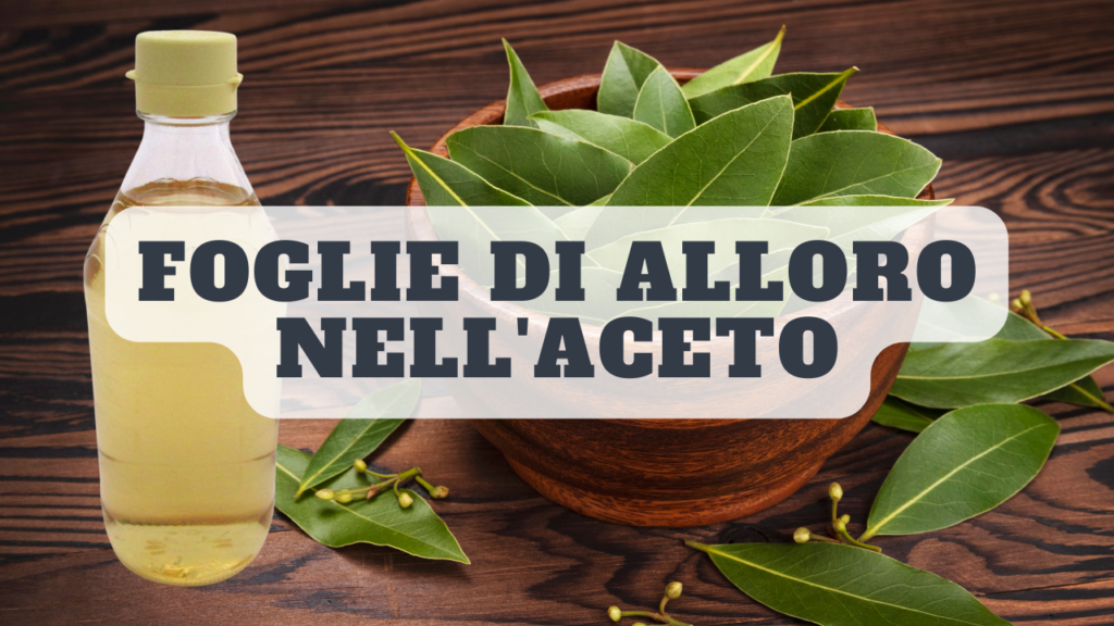 Alloro e aceto: scopri il rimedio segreto delle nostre nonne