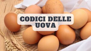 Etichette delle uova: sai cosa significano quei numeri stampati sulle confezioni? E’ bene che tu lo sappia