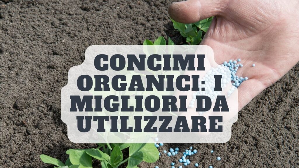 Concime organico: ecco i migliori da utilizzare per l’orto. Li conosci tutti?
