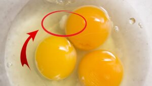 Hai mai notato questo filamento nell’uovo crudo? Ecco la risposta che non ti aspettavi