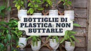 Bottiglie di plastica: ecco un metodo incredibile per riutilizzarle nel tuo giardino