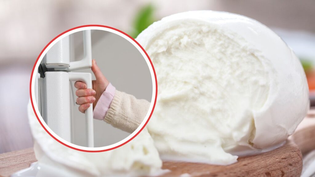 Mozzarella: ecco come devi conservarla per non perdere freschezza e sapore