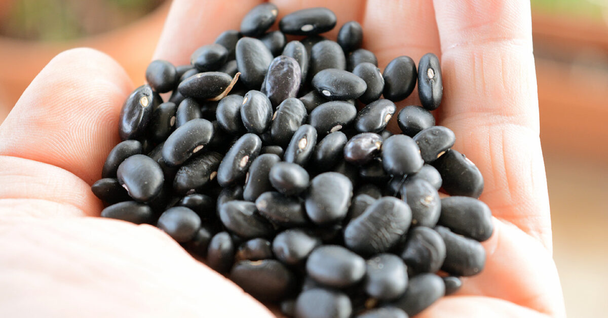 What Happens To Your Body If You Eat Black Beans You Won't Believe It