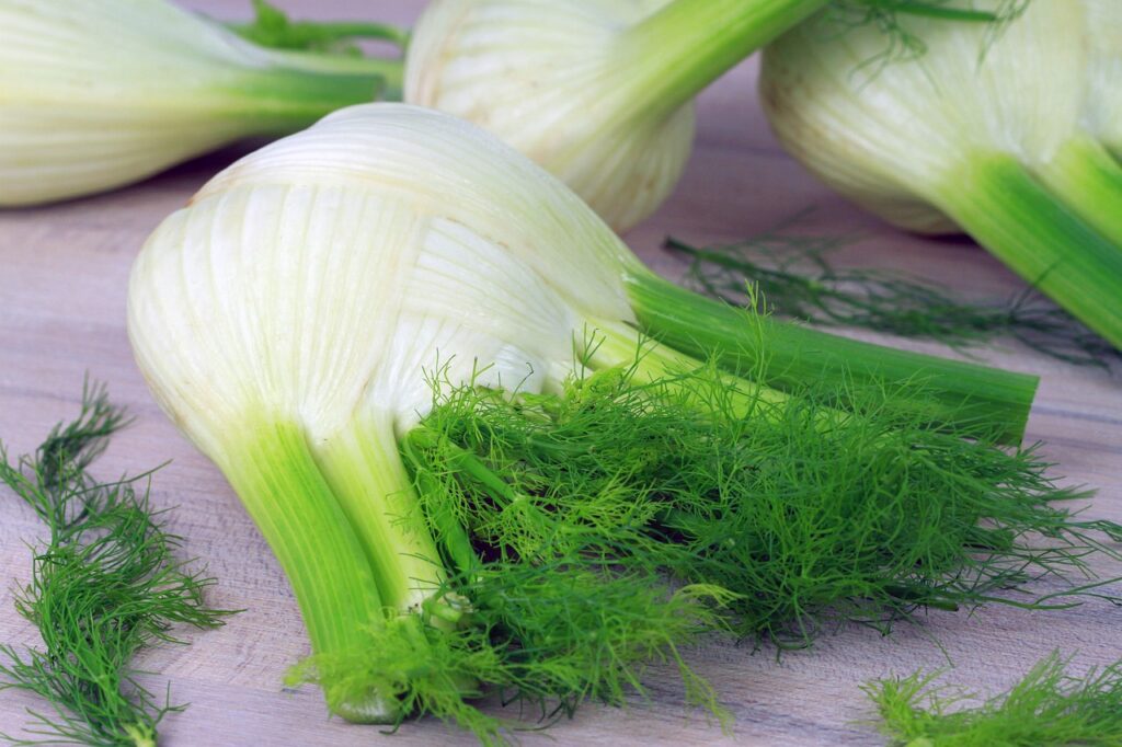 Chi soffre di colesterolo può mangiare il finocchio?