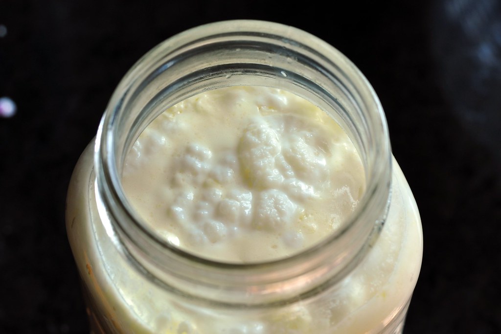 kefir