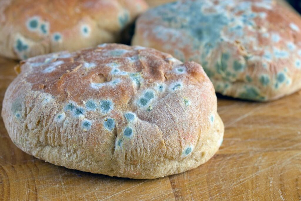 Pane con muffa: come evitarlo?