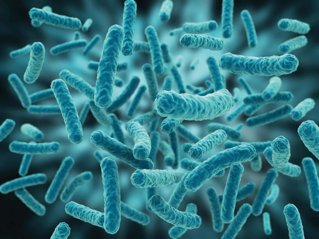 Probiotici.