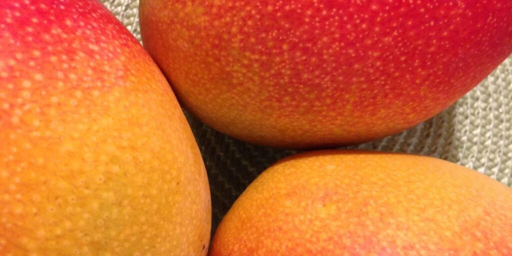 si può mangiare il mango con la buccia