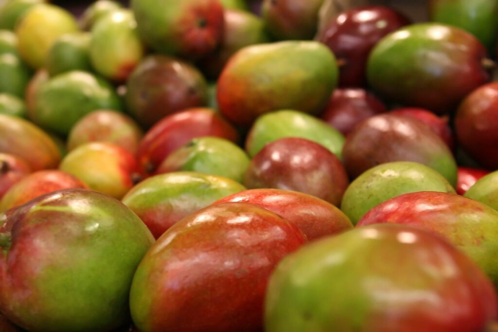 si può mangiare il mango con la buccia