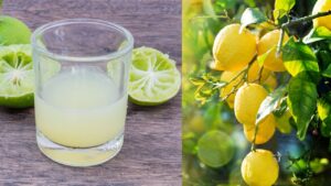 Il potere sorprendente del limone: ecco quello che non sapevi su questo straordinario agrume!