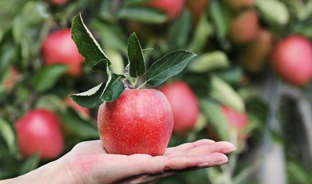 Perché le mele sono buone per la pressione sanguigina?