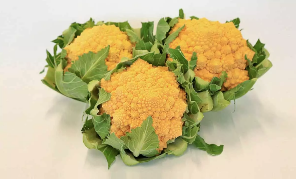I broccoli ingialliti si possono mangiare?