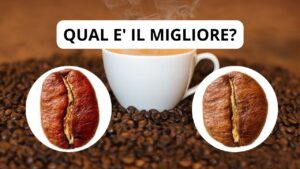Caffè Arabica o Robusta: che differenza c’è fra i due e quale dovresti scegliere?