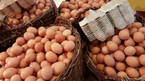 Non farti strapazzare dalle uova vecchie: come riconoscere un uovo fresco!