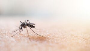 Come creare una trappola per le zanzare in casa