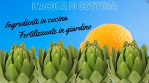 Cosa fare con l’acqua dei carciofi?