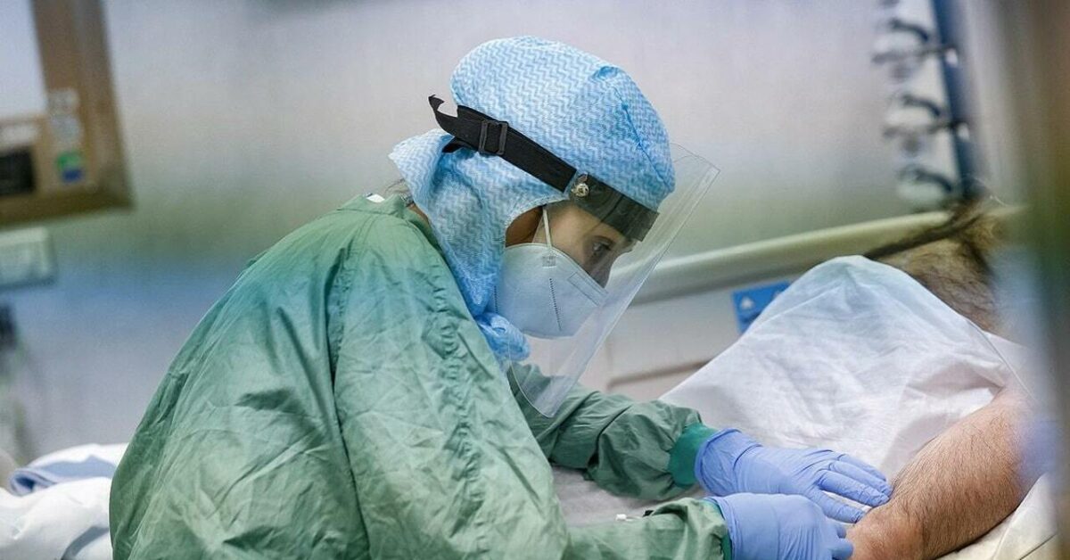 A man infected with Candida auris has died: what is it about? - Breaking Latest News