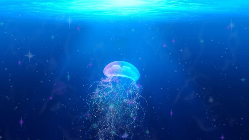 Cosa devi davvero fare se una medusa ti punge