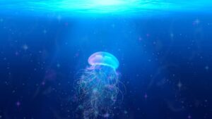 Cosa devi davvero fare se una medusa ti punge